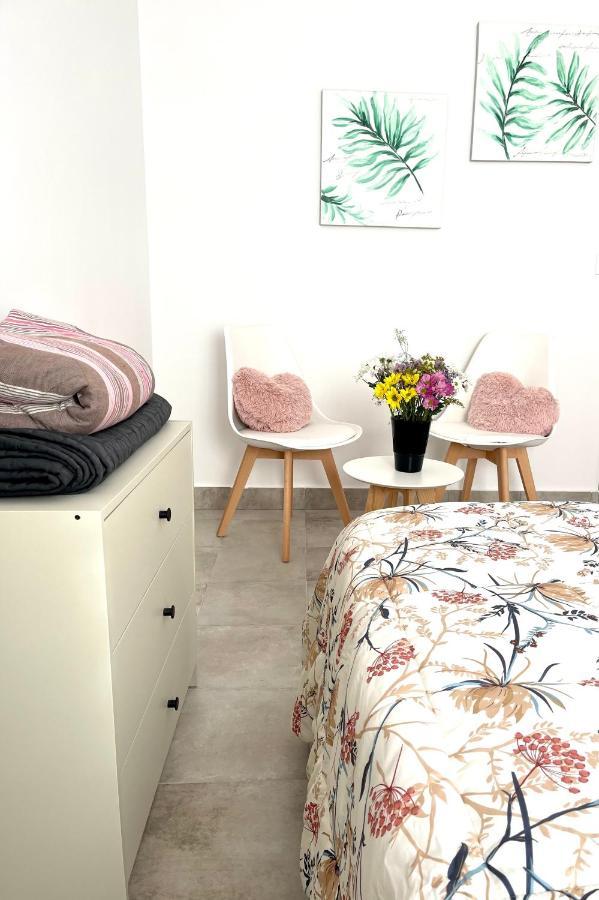 Comfortable Carolina En Alicante Dış mekan fotoğraf